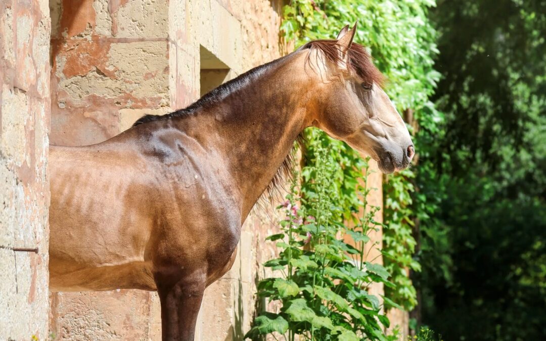 Evènements Septembre 2026